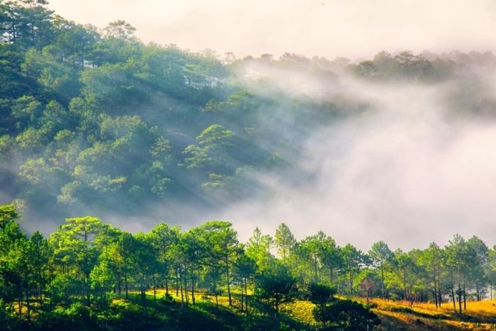 Vietnam en coolcation : nature, culture et douceur de vivre